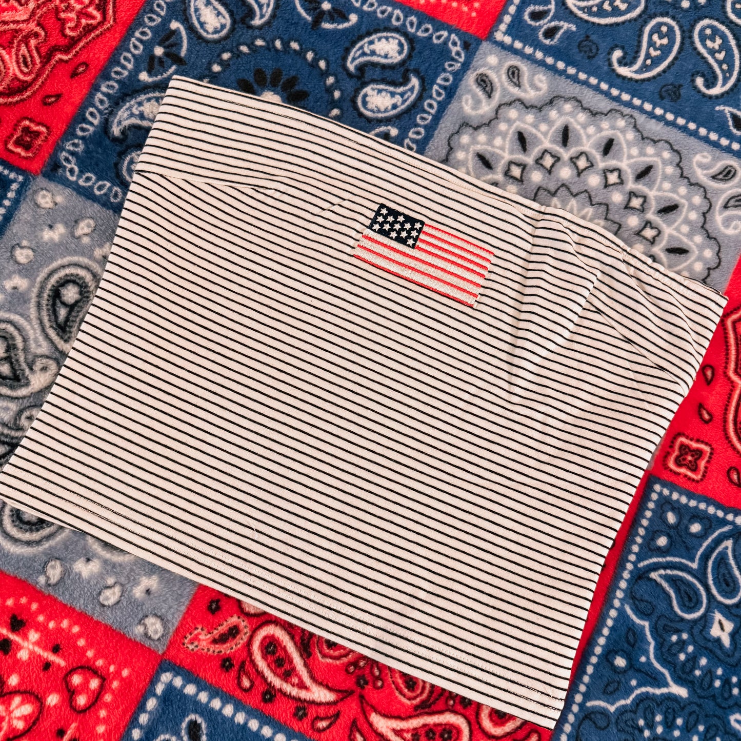 Spirit Striped Tube Top